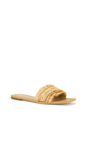 SANDALES BOWLES en . Taille 5. Also en 6 - RAYE - Modalova