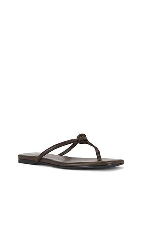 SANDALES AARAV en . Taille 5.5. Also en 6, 6.5, 7, 7.5, 8, 8.5, 9, 9.5 - RAYE - Modalova