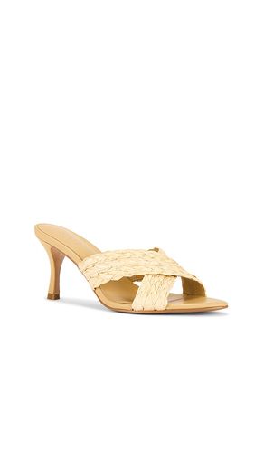 SANDALES PRIYA en . Taille 8.5. Also en 10 - RAYE - Modalova