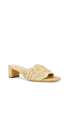 SANDALES RAJESH en . Taille 6. Also en 7, 10 - RAYE - Modalova
