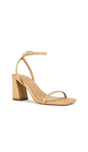 ESCARPINS ZAZA en . Taille 7. Also en 8, 9, 10 - RAYE - Modalova