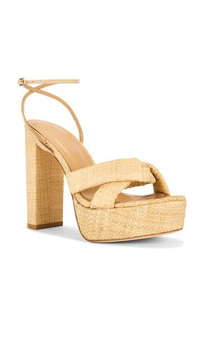 AVEC PATIN CAYDEN en . Taille 10. Also en 6.5, 7.5, 8.5, 9, 9.5 - RAYE - Modalova