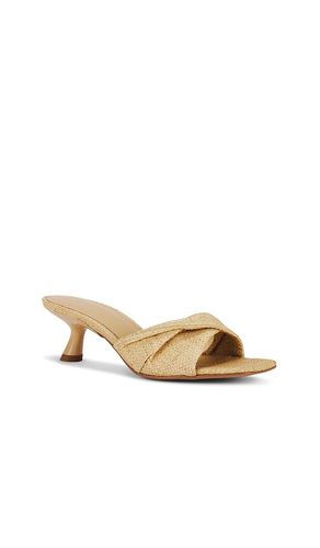 SANDALES AVITAL en . Taille 6. Also en 6.5, 7.5, 8.5, 9, 9.5 - RAYE - Modalova