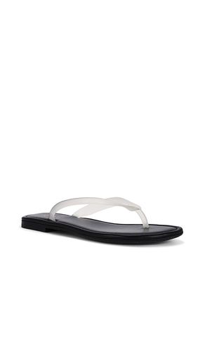 SANDALES ORION en . Taille 6.5. Also en 7, 9.5 - RAYE - Modalova