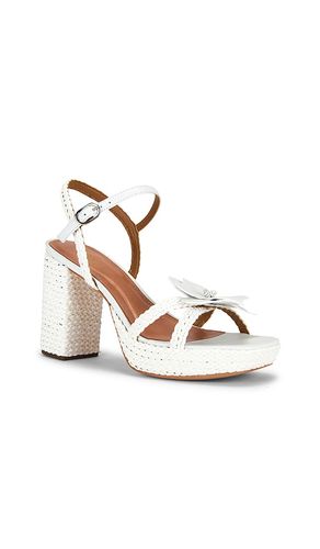 SANDALES SOLIA en . Taille 5. Also en 5.5, 6, 6.5, 7.5, 8, 8.5, 9, 9.5, 10, 10.5 - RAYE - Modalova