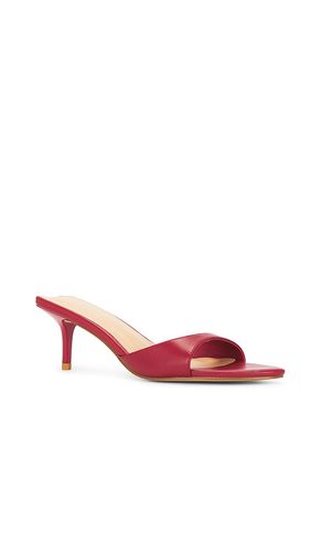 SANDALES CHAD en . Taille 5.5. Also en 6, 6.5, 7, 7.5, 8, 8.5, 9, 9.5, 10 - RAYE - Modalova