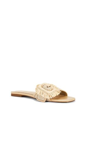 SANDALES KAELI en . Taille 5.5. Also en 8 - RAYE - Modalova