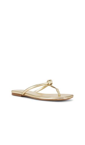 SANDALES AARAV en . Taille 6.5. Also en 7, 7.5 - RAYE - Modalova