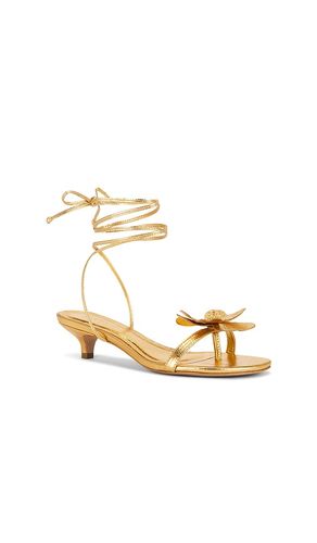 SANDALES CATALINA en . Taille 6. Also en 7, 8 - RAYE - Modalova
