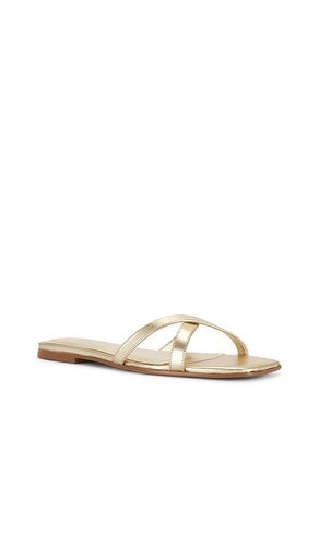SANDALES YASMINAH en . Taille 5.5. Also en 7.5, 9 - RAYE - Modalova