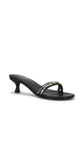 SANDALES DANAE en . Taille 5.5. Also en 6, 6.5, 7, 7.5, 8, 8.5, 9 - RAYE - Modalova