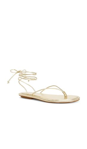 SANDALES ZABEL en . Taille 7. Also en - RAYE - Modalova