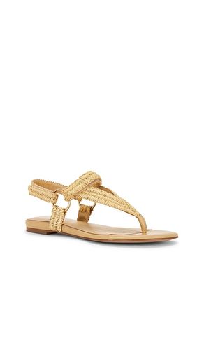 SANDALES ADELINA en . Taille 6.5. Also en 7, 7.5, 8, 8.5, 9, 9.5 - RAYE - Modalova
