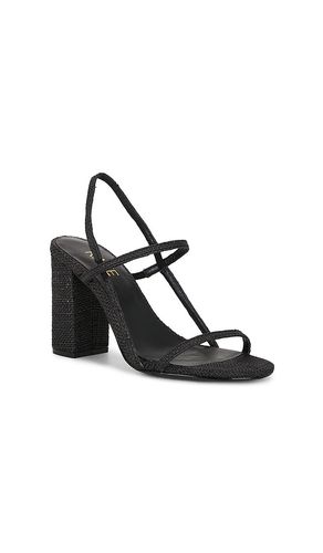 SANDALES AMIT en . Taille 10. Also en 5.5, 6, 6.5, 7, 7.5, 8, 8.5, 9, 9.5 - RAYE - Modalova