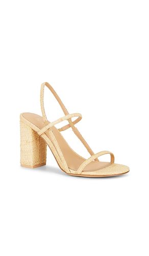 SANDALES AMIT en . Taille 10. Also en 6, 6.5, 7, 7.5, 8, 8.5, 9, 9.5 - RAYE - Modalova
