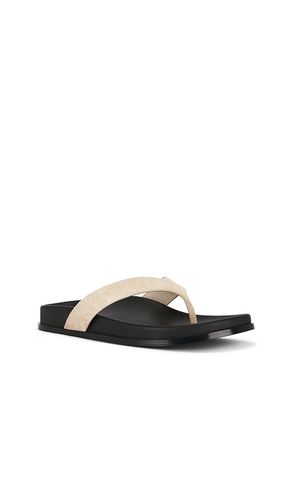 SANDALES ALTA en . Taille 5. Also en - RAYE - Modalova