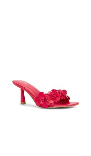 SANDALES HANA en . Taille 5.5. Also en 7.5 - RAYE - Modalova