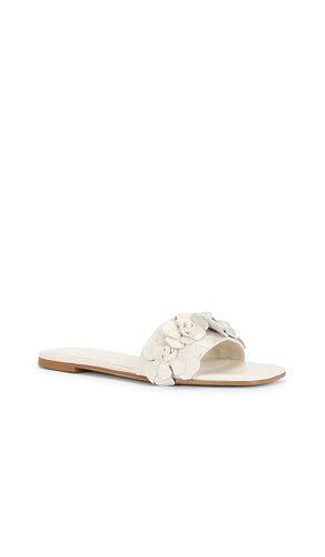 SANDALES IRIS en . Taille 6.5. Also en 7, 8.5 - RAYE - Modalova