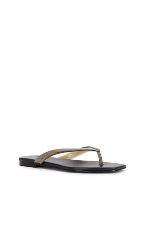 SANDALES PALOMA en . Taille 5.5. Also en 6, 6.5, 7, 8.5 - RAYE - Modalova