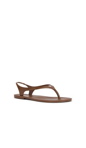 Ala Flip Flop en . Taille 6. Also en 7, 8, 9, 10 - RAYE - Modalova