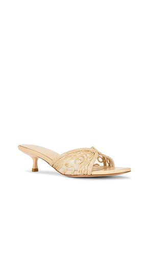 SANDALES AYLIN en . Taille 5.5. Also en 6, 6.5, 7, 7.5, 8, 8.5, 9, 9.5, 10 - RAYE - Modalova