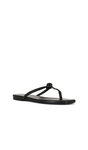 SANDALES AARAV en . Taille 5.5. Also en 6, 6.5, 7, 7.5, 8, 8.5, 9, 9.5, 10 - RAYE - Modalova
