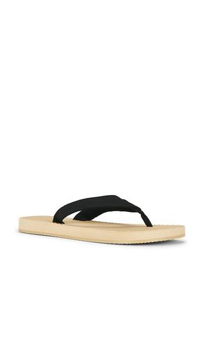 Cane Flip Flop en . Taille 5. Also en 6, 7, 8, 9, 10 - RAYE - Modalova