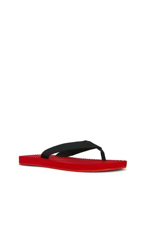 Cane Flip Flop en . Taille 5. Also en 6, 7, 8, 9, 10 - RAYE - Modalova