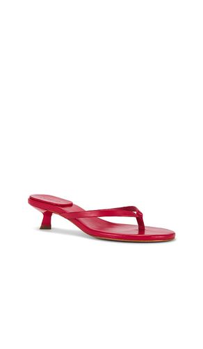 SANDALES CAROLYN en . Taille 6. Also en - Schutz - Modalova