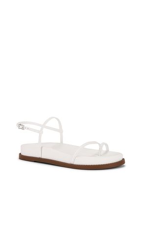 SANDALES AZZY SPORTY en . Taille 8. Also en 8.5, 9.5, 10 - Schutz - Modalova