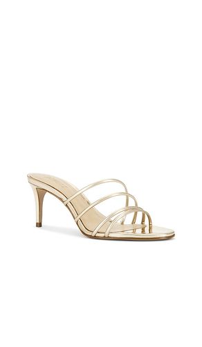 MULES INEZ en . Taille 7. Also en 7.5, 9, 9.5 - Schutz - Modalova