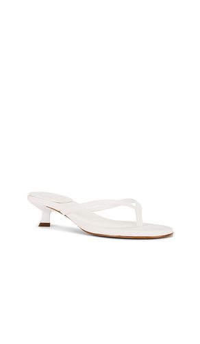 SANDALES CAROLYN en . Taille 6. Also en - Schutz - Modalova