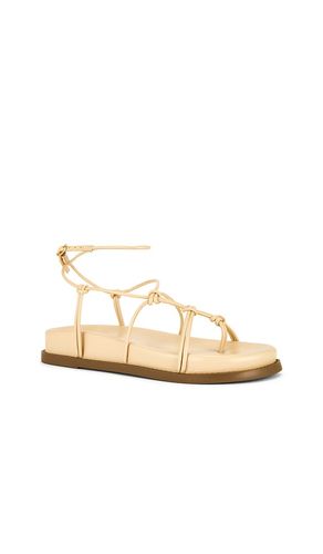 SANDALES CALABRIA SPORTY en . Taille 7. Also en 9.5 - Schutz - Modalova