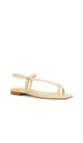 SANDALES LISA en . Taille 6. Also en 6.5, 7, 7.5, 8, 8.5, 9, 9.5, 10 - Schutz - Modalova