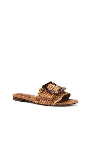 SANDALES BAMBI en . Taille 5. Also en 5.5, 6, 6.5, 7, 7.5, 8, 8.5, 9 - Sam Edelman - Modalova