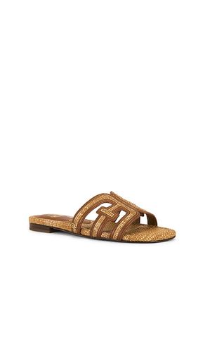 SANDALES BAY MULTI en . Taille 5. Also en 5.5, 6, 6.5, 7.5 - Sam Edelman - Modalova