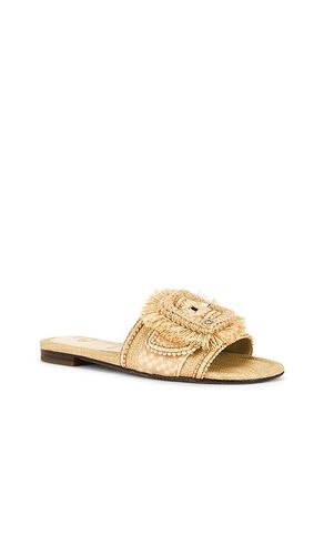 SANDALES BAMBI PLAYA en . Taille 10.5. Also en 6, 6.5, 7, 7.5, 8, 8.5, 9, 9.5 - Sam Edelman - Modalova