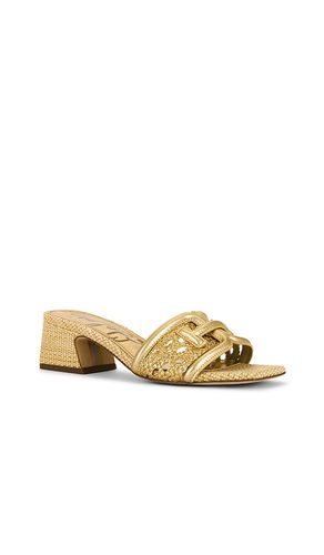 SANDALES WAYLON WEAVE en . Taille 6. Also en 7, 7.5, 8, 8.5, 9, 10 - Sam Edelman - Modalova
