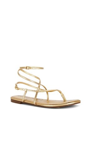 SANDALES CLARRA en . Taille 6.5. Also en 7.5, 8.5, 9.5 - Sam Edelman - Modalova