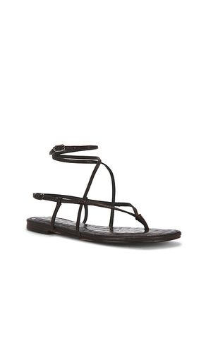 SANDALES CLARRA en . Taille 6. Also en 6.5, 7, 7.5, 8, 8.5, 9, 9.5, 10 - Sam Edelman - Modalova