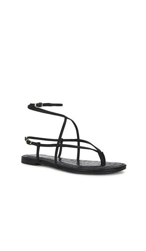 SANDALES CLARRA en . Taille 6. Also en 6.5, 7, 7.5, 8, 8.5, 9, 9.5, 10 - Sam Edelman - Modalova