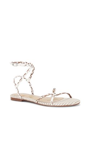 SANDALES ELLINA BRAID en ,. Taille 10. Also en 6, 6.5, 7, 7.5, 8, 8.5, 9, 9.5 - Sam Edelman - Modalova