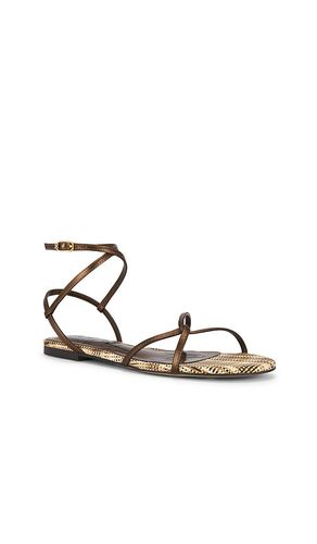 SANDALES ELLINA en , . Taille 10. Also en 6, 6.5, 7, 7.5, 8, 8.5, 9, 9.5 - Sam Edelman - Modalova