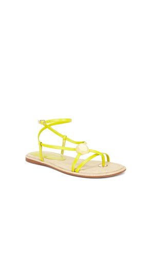 SANDALES RILLIE en . Taille 6. Also en 6.5, 7, 7.5, 8, 8.5, 9, 9.5, 10 - Sam Edelman - Modalova