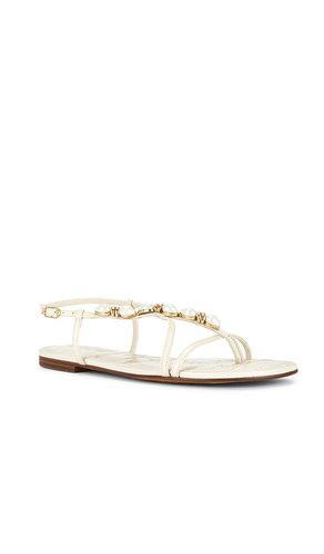 SANDALES CALLA en . Taille 6.5. Also en 7, 7.5, 8, 8.5, 9, 9.5 - Sam Edelman - Modalova