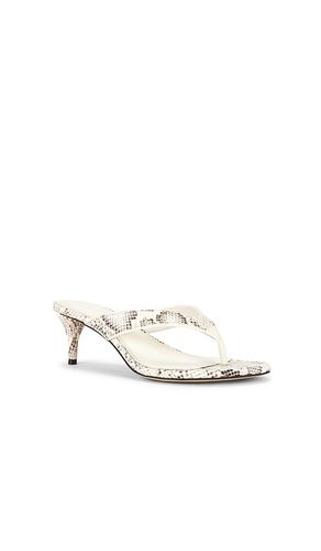 SANDALES AMIE en . Taille 6. Also en 6.5, 7, 7.5, 8, 8.5, 9, 9.5, 10 - Sam Edelman - Modalova