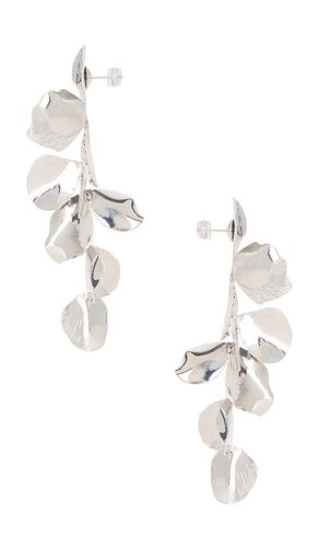 BOUCLES D'OREILLES RUELLIA en - SHASHI - Modalova