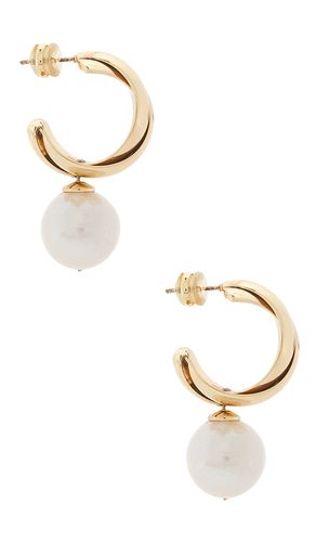 BOUCLES D'OREILLES ROSS en - SHASHI - Modalova