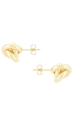 CLOUS D'OREILLES KNOT en - SHASHI - Modalova