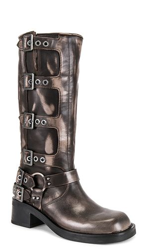 BOTTINES ROCKY en . Taille 7.5. Also en 8, 9, 10, 8.5, 9.5 - Steve Madden - Modalova